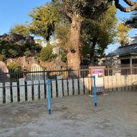画像293