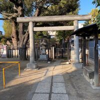 画像296