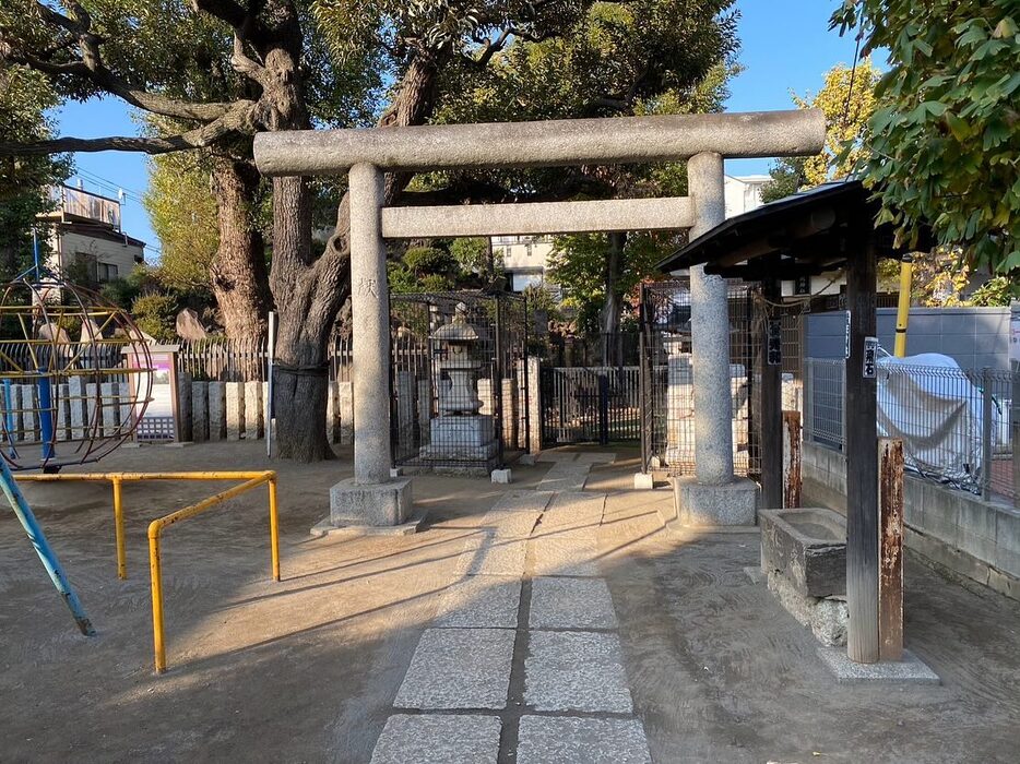 画像296