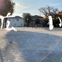 画像341