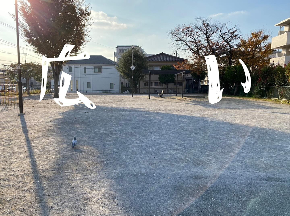 画像341