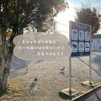 画像343