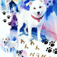 画像382