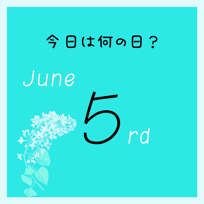 画像527
