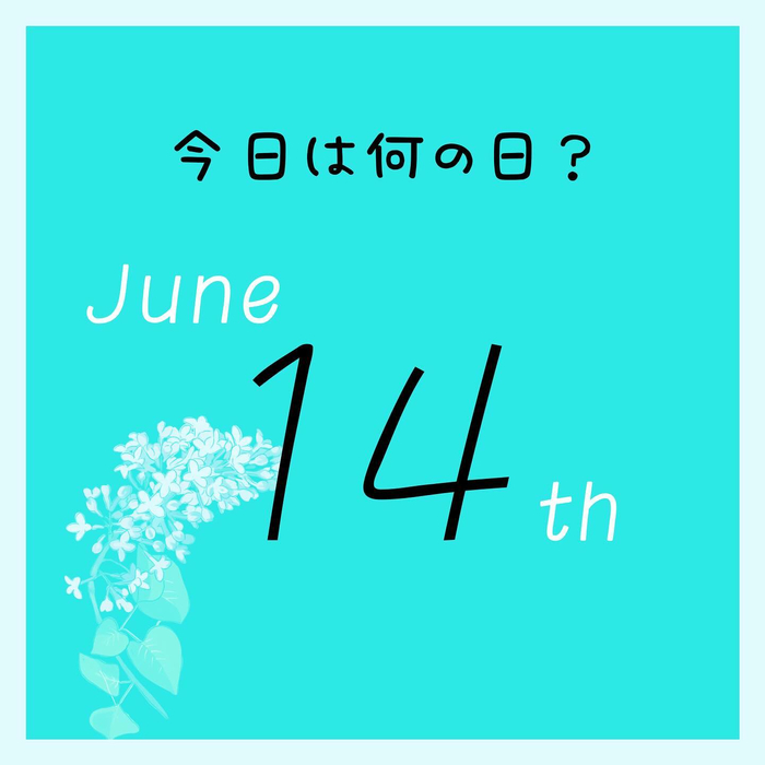 画像548